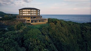 Un bâtiment moderne à plusieurs étages, doté d’un toit incurvé, situé sur une falaise surplombant une zone côtière.