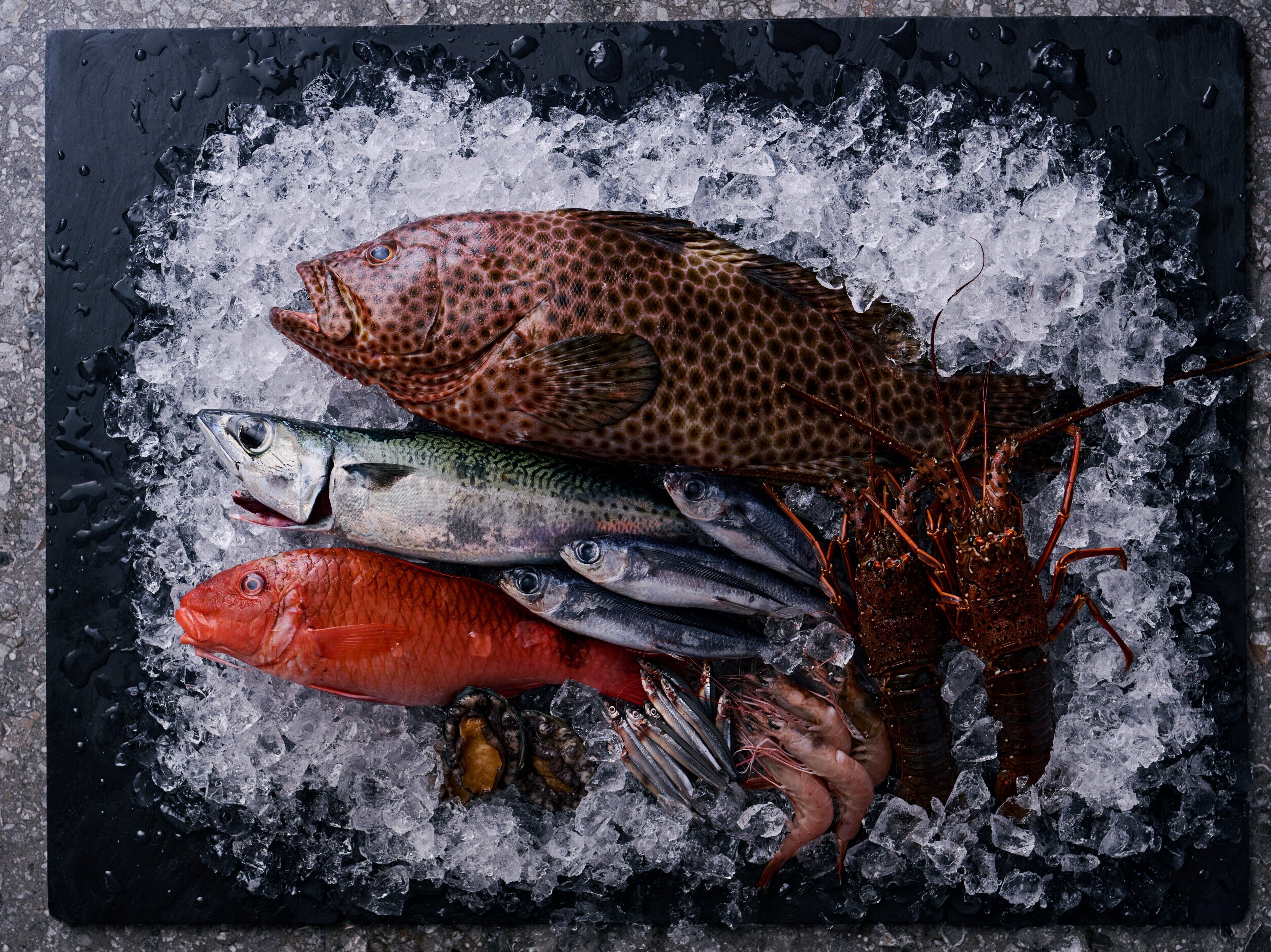 A variety of seafood on ice, including fish and a lobster.