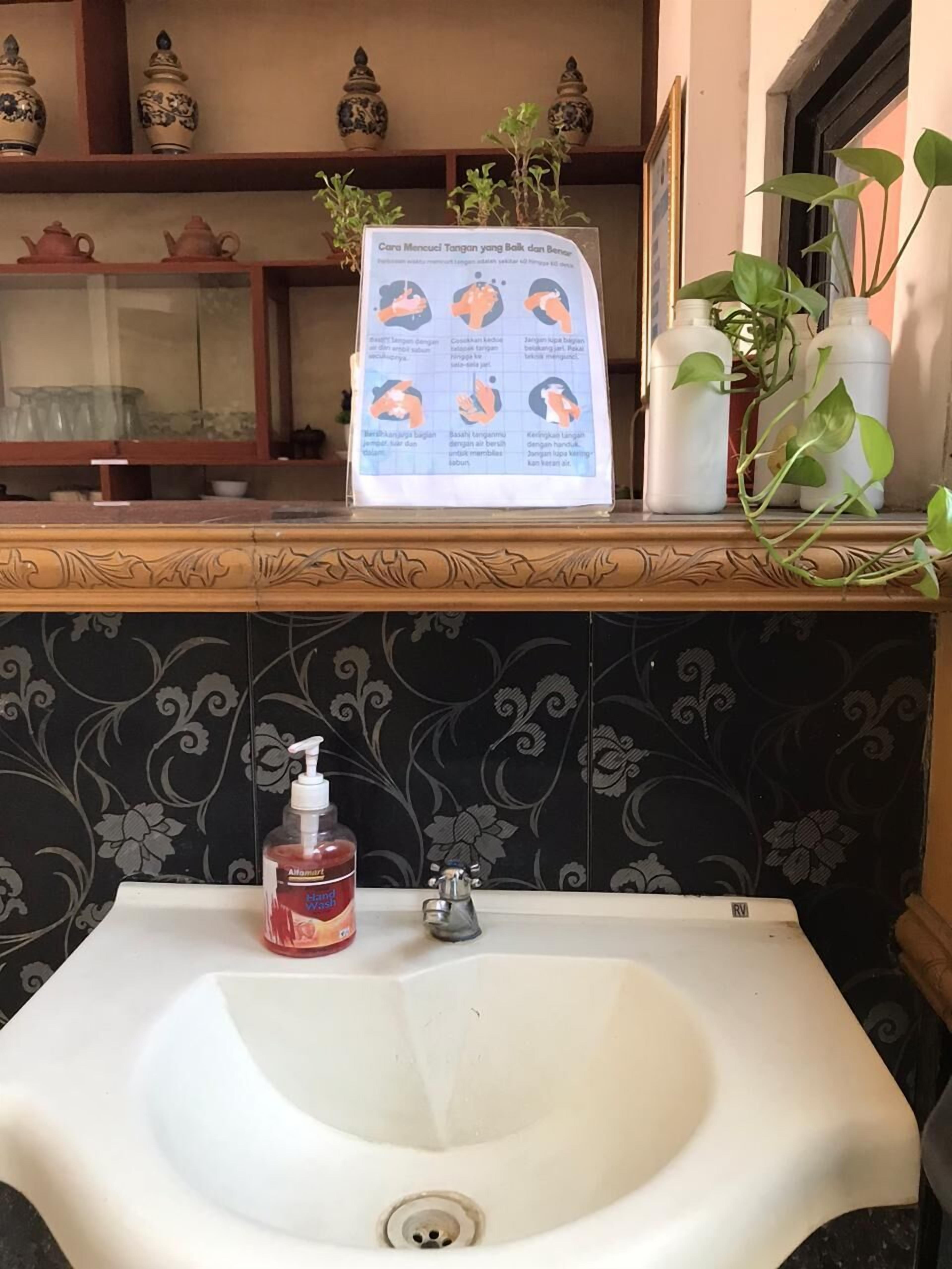 A bathroom sink with a hand soap dispenser, a decorative sign with instructions, and a potted plant.