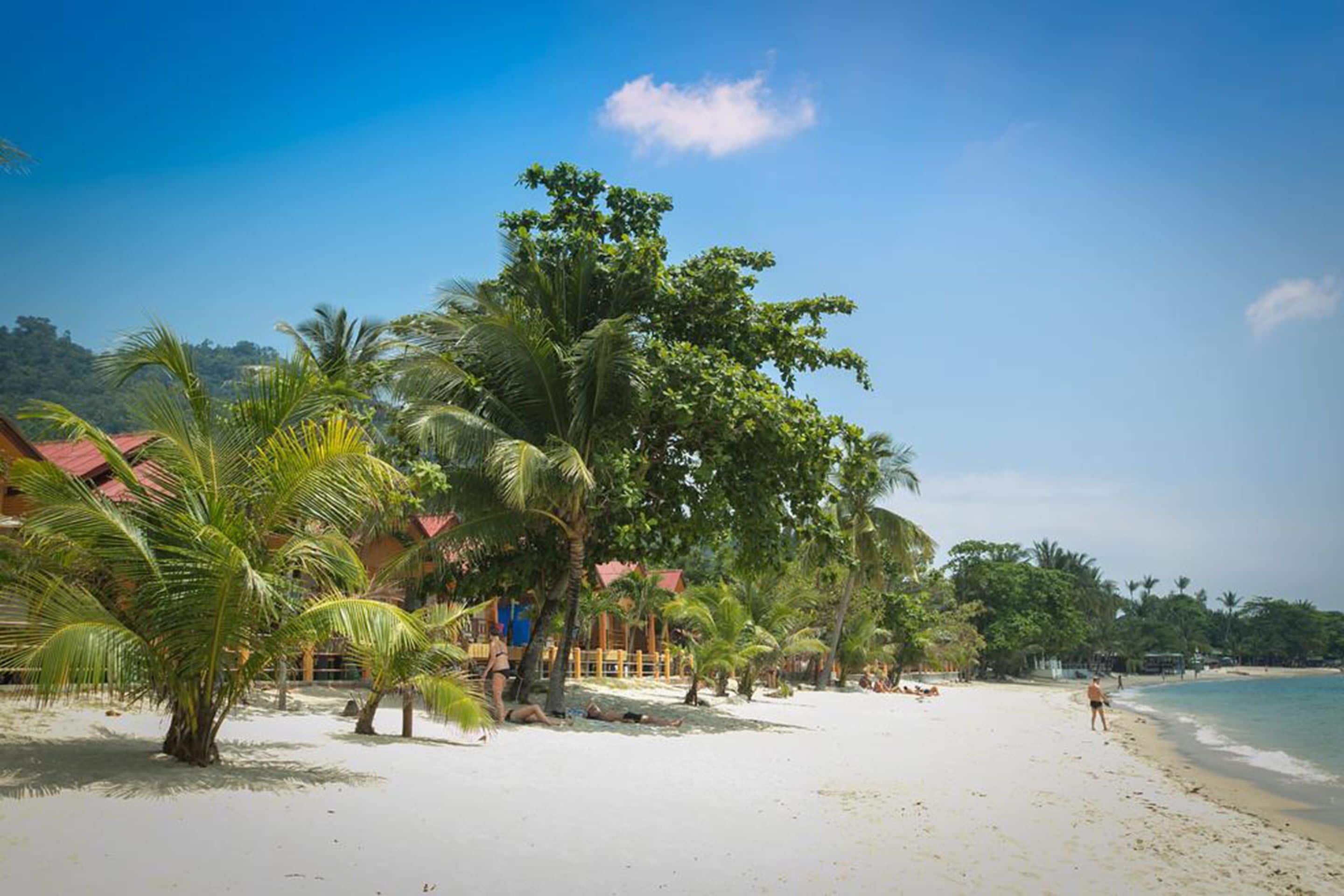 Uma praia com palmeiras, areal e alguns edifícios com telhados vermelhos.