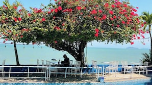 Un espace aménagé au bord de la piscine avec une table et des chaises, un arbre aux fleurs rouges et une vue sur la mer.