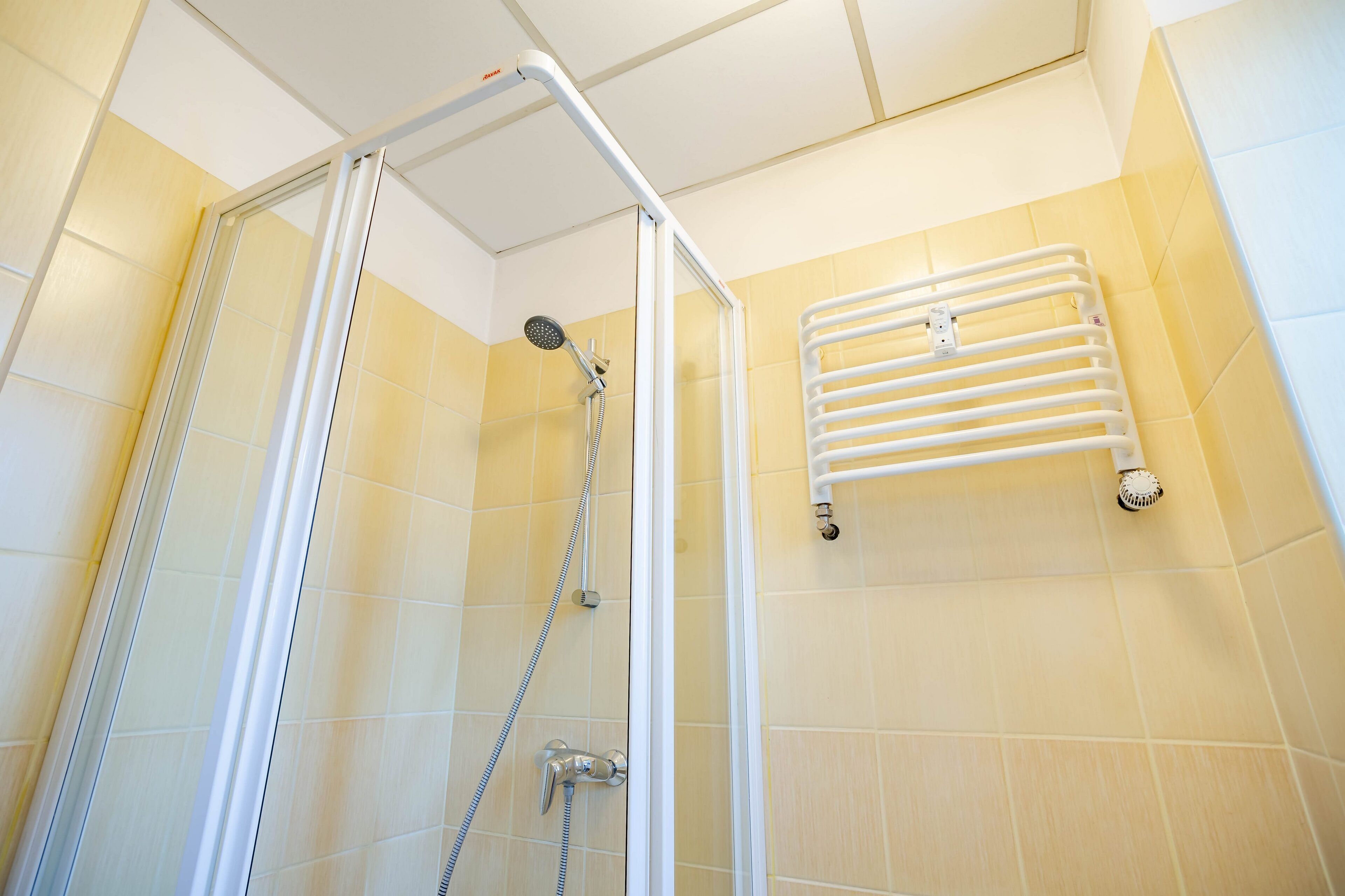 standard double or twin room | bathroom | shower, free toiletries, hair dryer, towels