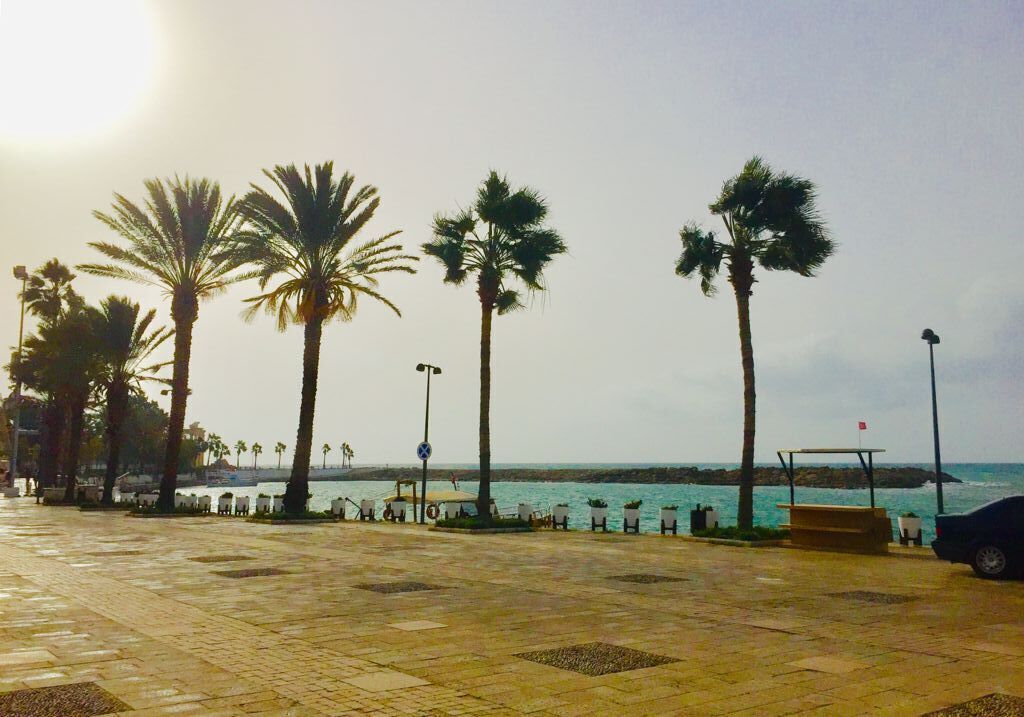 Foto - Elis Beach Hotel