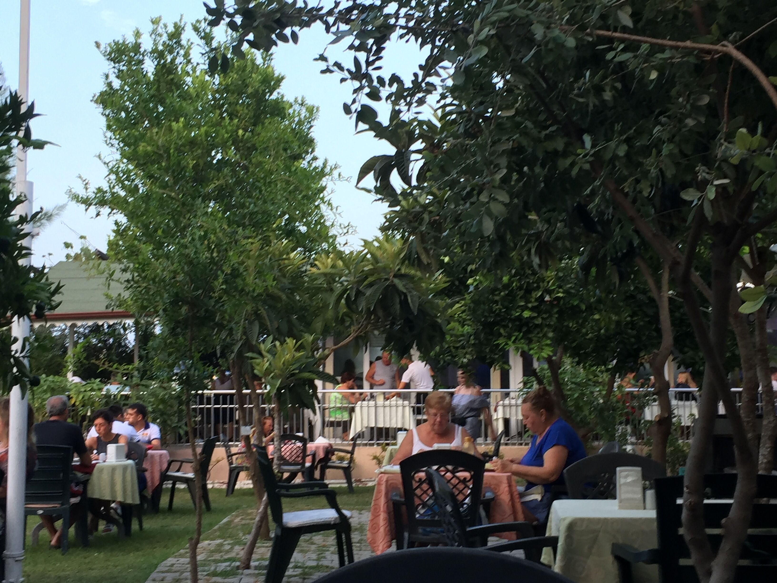 Foto - Elis Beach Hotel