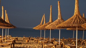 Una playa con filas de tumbonas y sombrillas de paja.