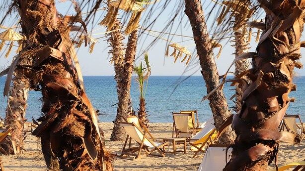 Una playa con palmeras, un mar azul transparente y varias sillas de madera para tomar el sol.