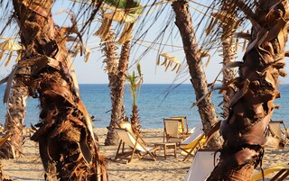 Una playa con palmeras, un mar azul transparente y varias sillas de madera para tomar el sol.