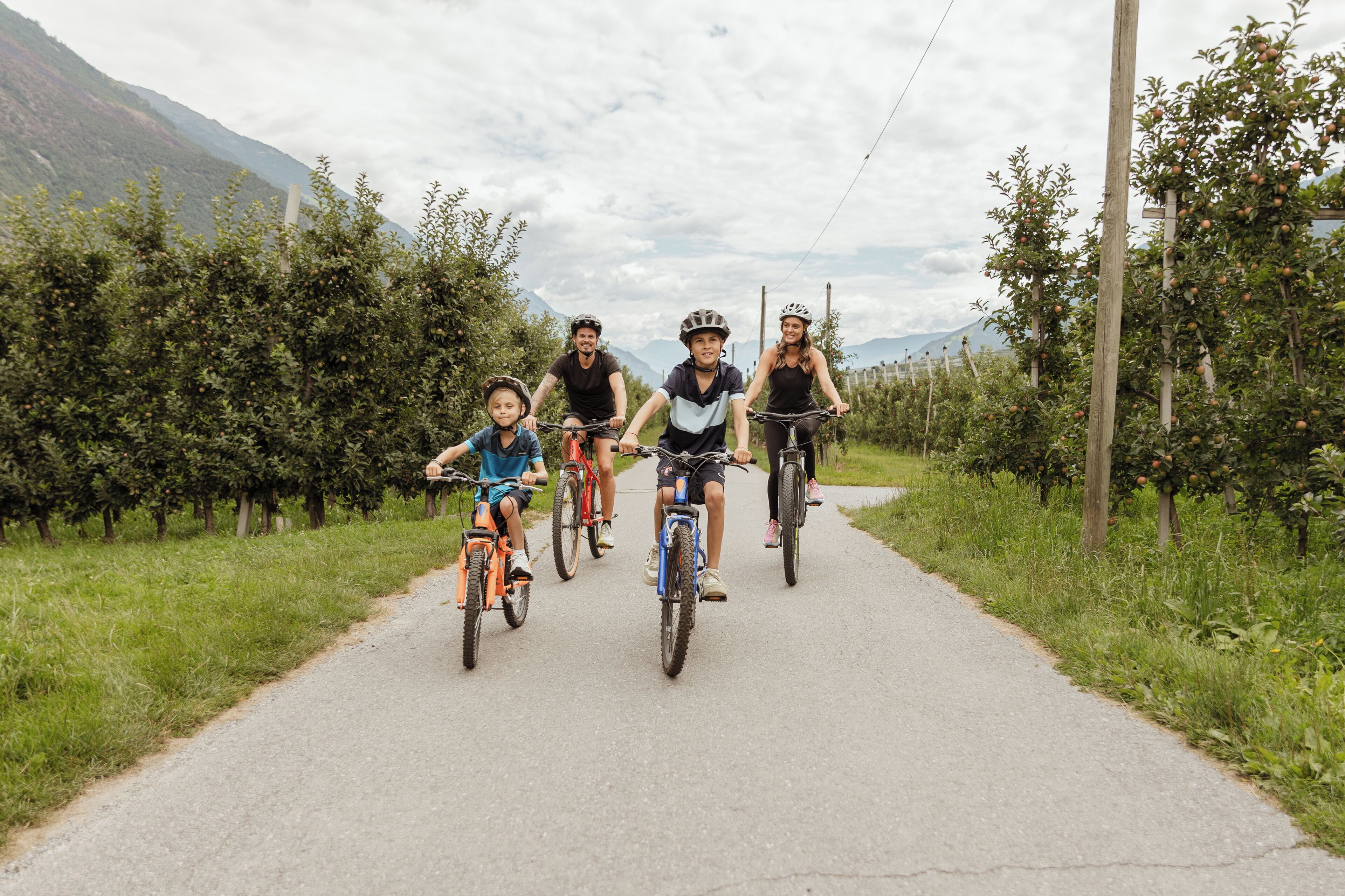 A group of people riding bicycles on a paved path surrounded by greenery and trees.