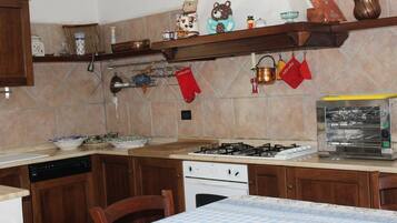 House, 3 Bedrooms, Terrace | Private kitchen