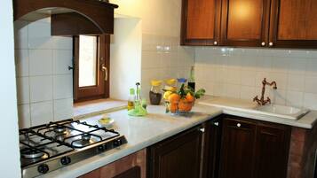 House, 1 Bedroom, Terrace | Private kitchen