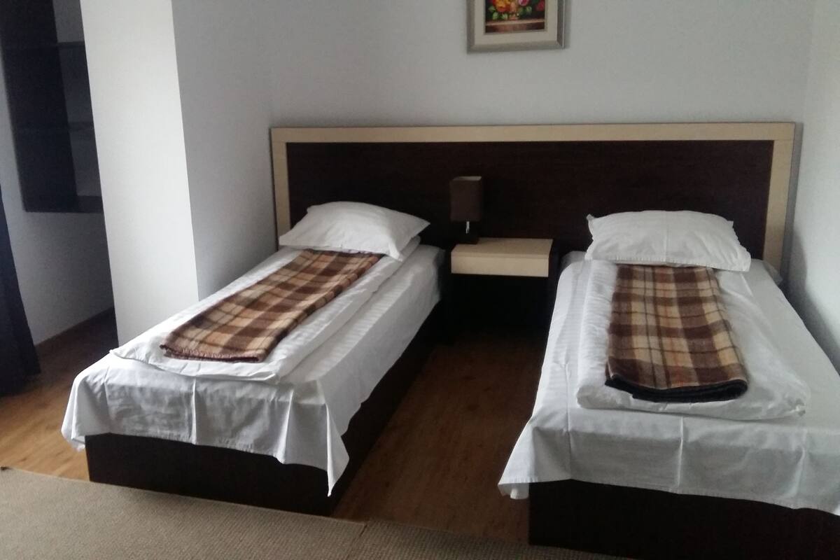 A hotel room with two single beds, a nightstand, a lamp, and a framed picture on the wall.