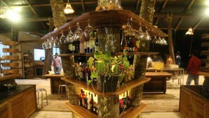 A bar area with wooden shelves holding bottles and glasses, surrounded by large trees. - Koh Rong Love Resort - Hostel (Koh Rong)