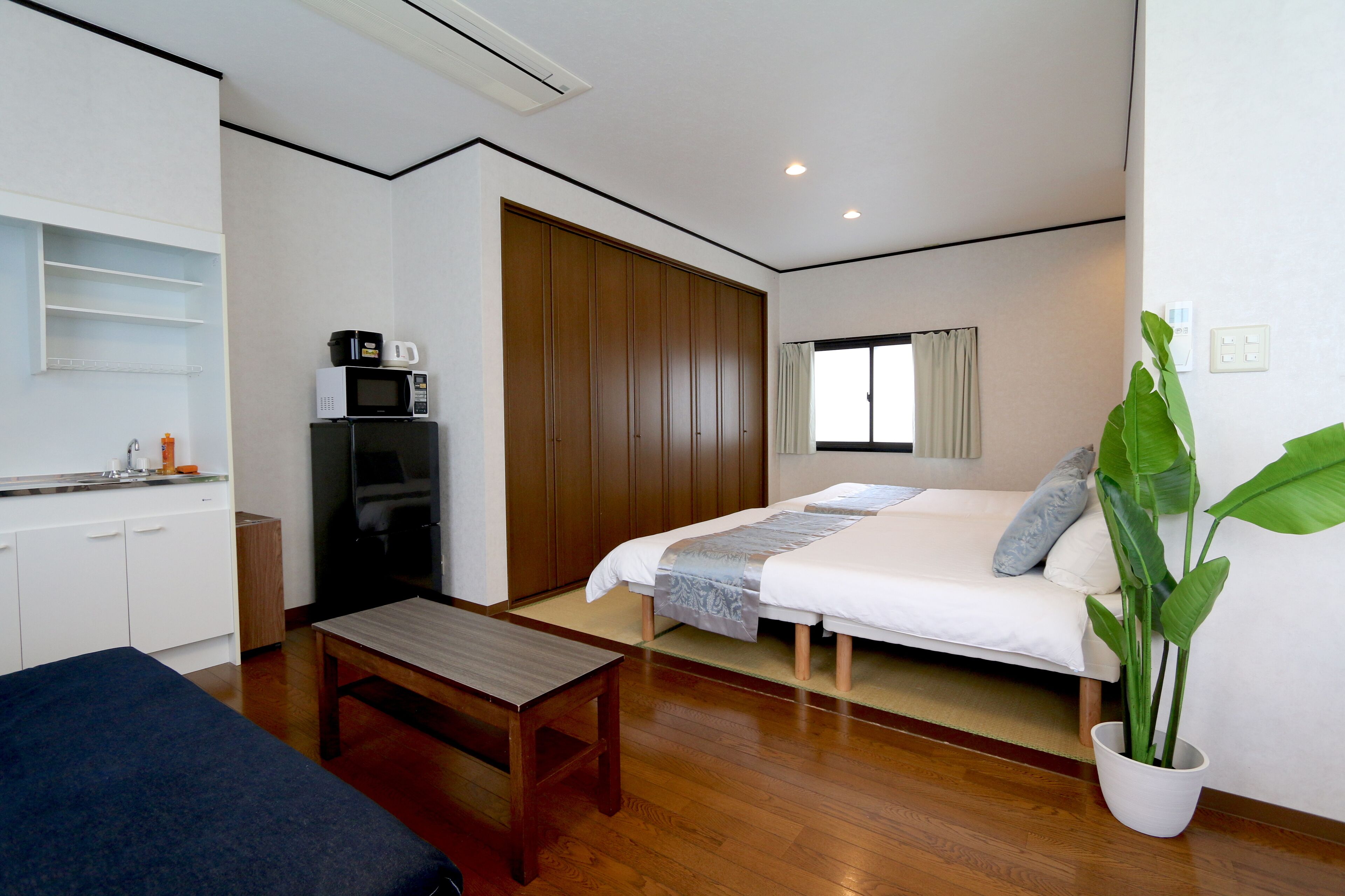 A compact bedroom with a bed, bedside table, and a potted plant.