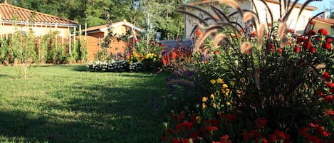 Tuin