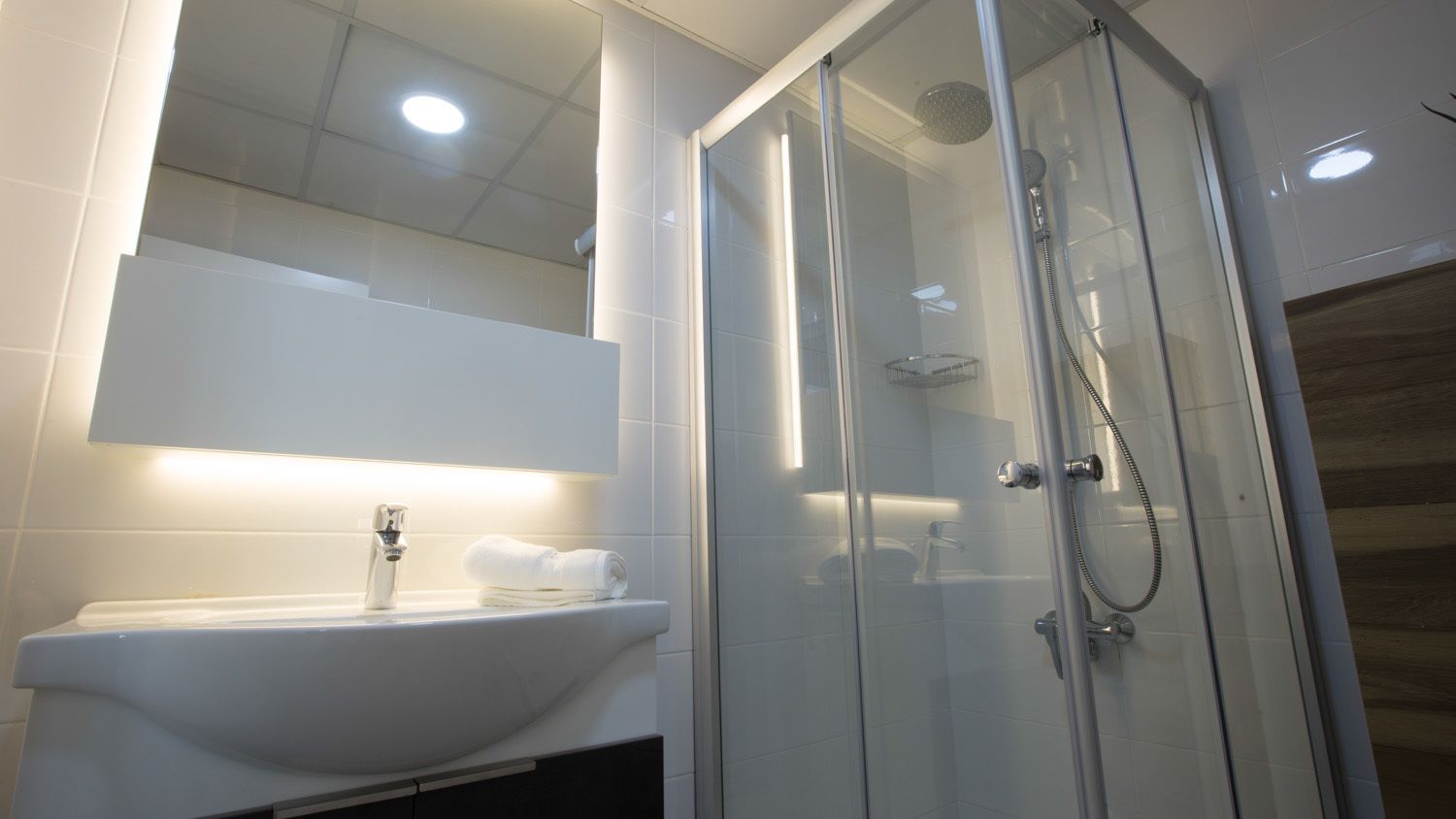 standard apartment, 1 bedroom, sea view | bathroom | shower, free toiletries, hair dryer, slippers