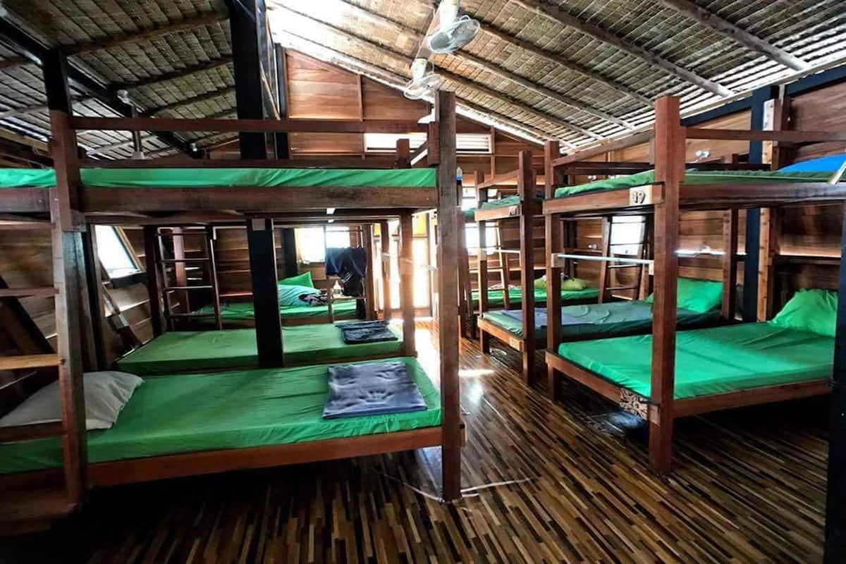 Une chambre rustique, aménagée comme un chalet, avec des lits superposés, un plancher en bois et un toit de chaume.