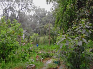 Garden - Sigiriya Vee Guest (Sigiriya)