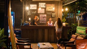 A bar area with a wooden counter, seating, and potted plants.