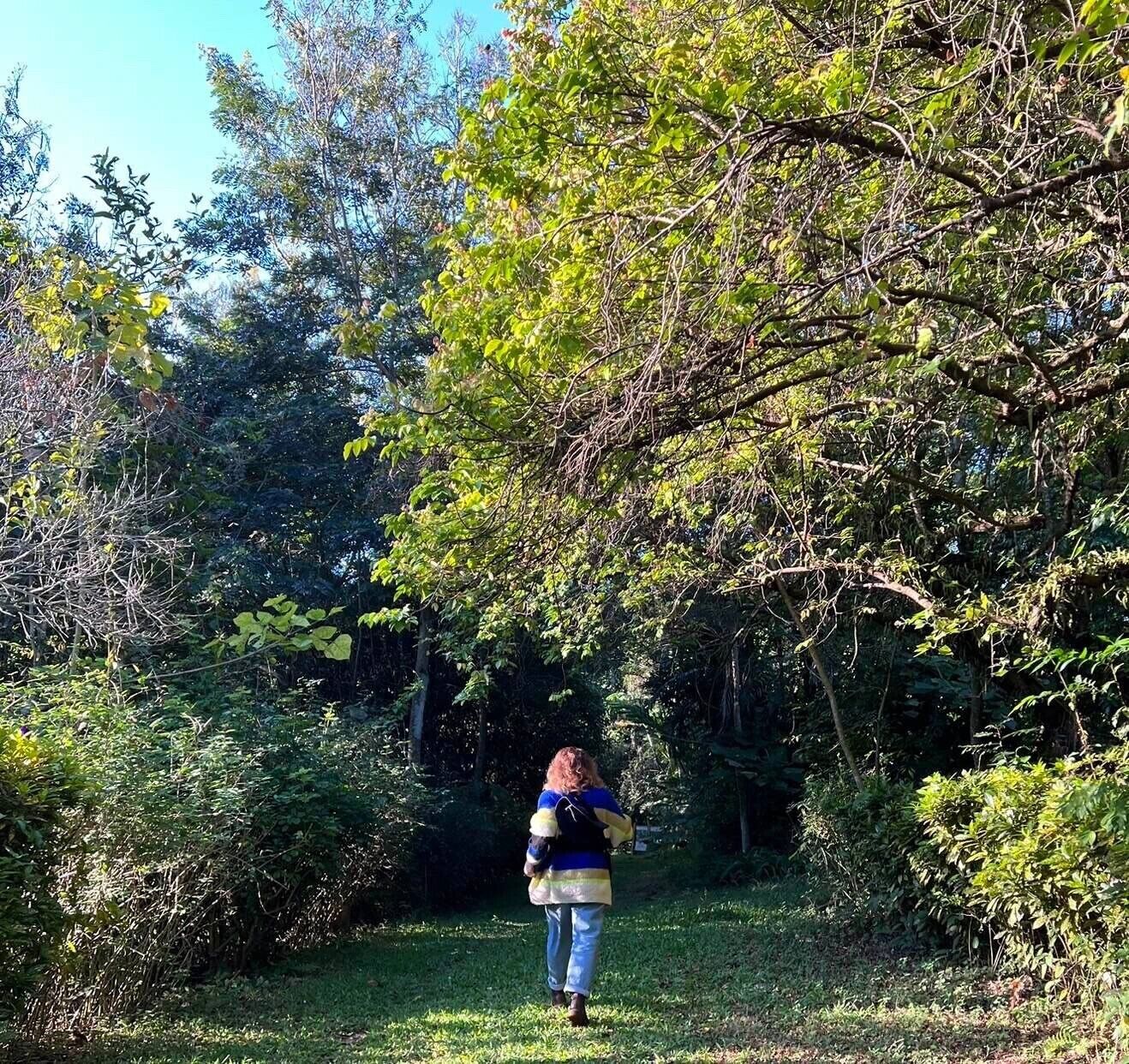 A person walking through a wooded area with dense foliage and trees.