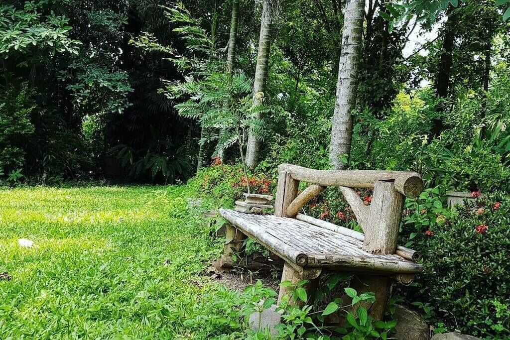 Un banco de madera rústico en un jardín exuberante con follaje denso y árboles al fondo.