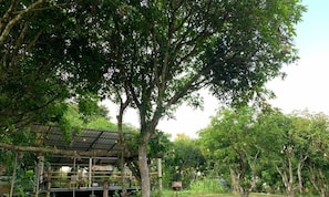 Se sirven desayunos, almuerzos y cenas (con vistas al jardín)