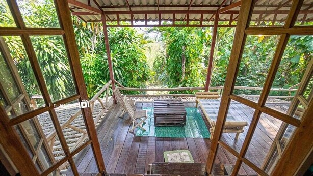 Una terraza de madera con una piscina pequeña, rodeada de abundante vegetación.