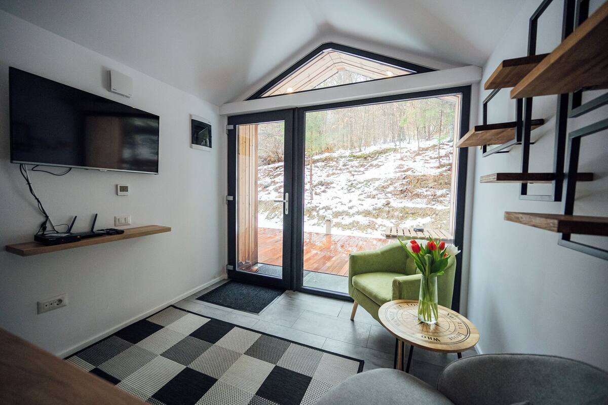 A modern living room with a large TV, a green chair, a small table with a vase of flowers, and a view of a snowy landscape through a sliding glass door.