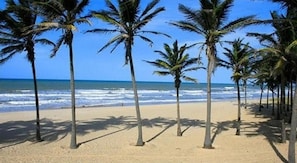 Beach nearby, white sand
