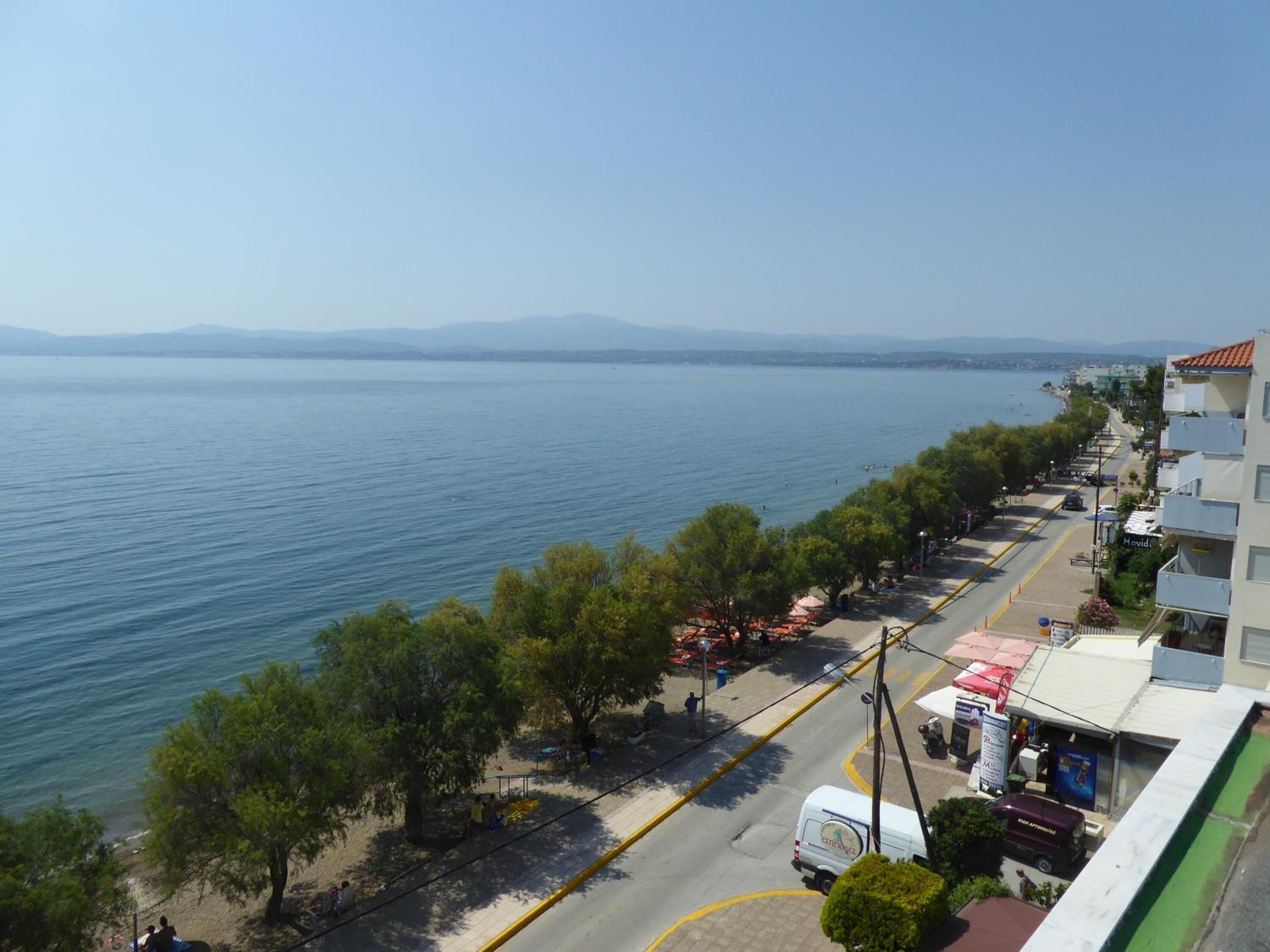 Une route côtière bordée d’arbres, offrant une vue sur la mer.