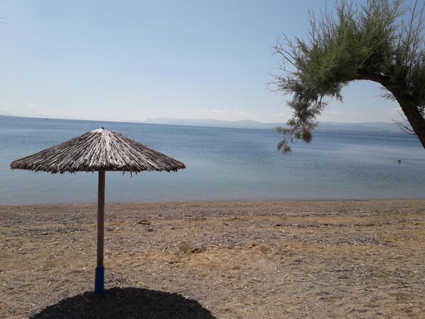 On the beach - Hotel Poseidon (Chalcis)