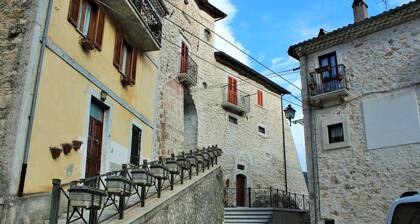 Volpe - Parco Nazionale d'Abruzzo