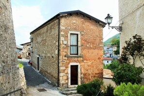 Exterior - Volpe - Parco Nazionale d'Abruzzo (Bisegna)