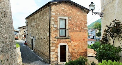 Volpe - Parco Nazionale d'Abruzzo