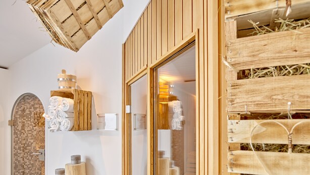 A wooden interior with a mirrored wall, a tiled shower area, and wooden storage units. - DAS LUDWIG Sports Resort (Bad Griesbach im Rottal)