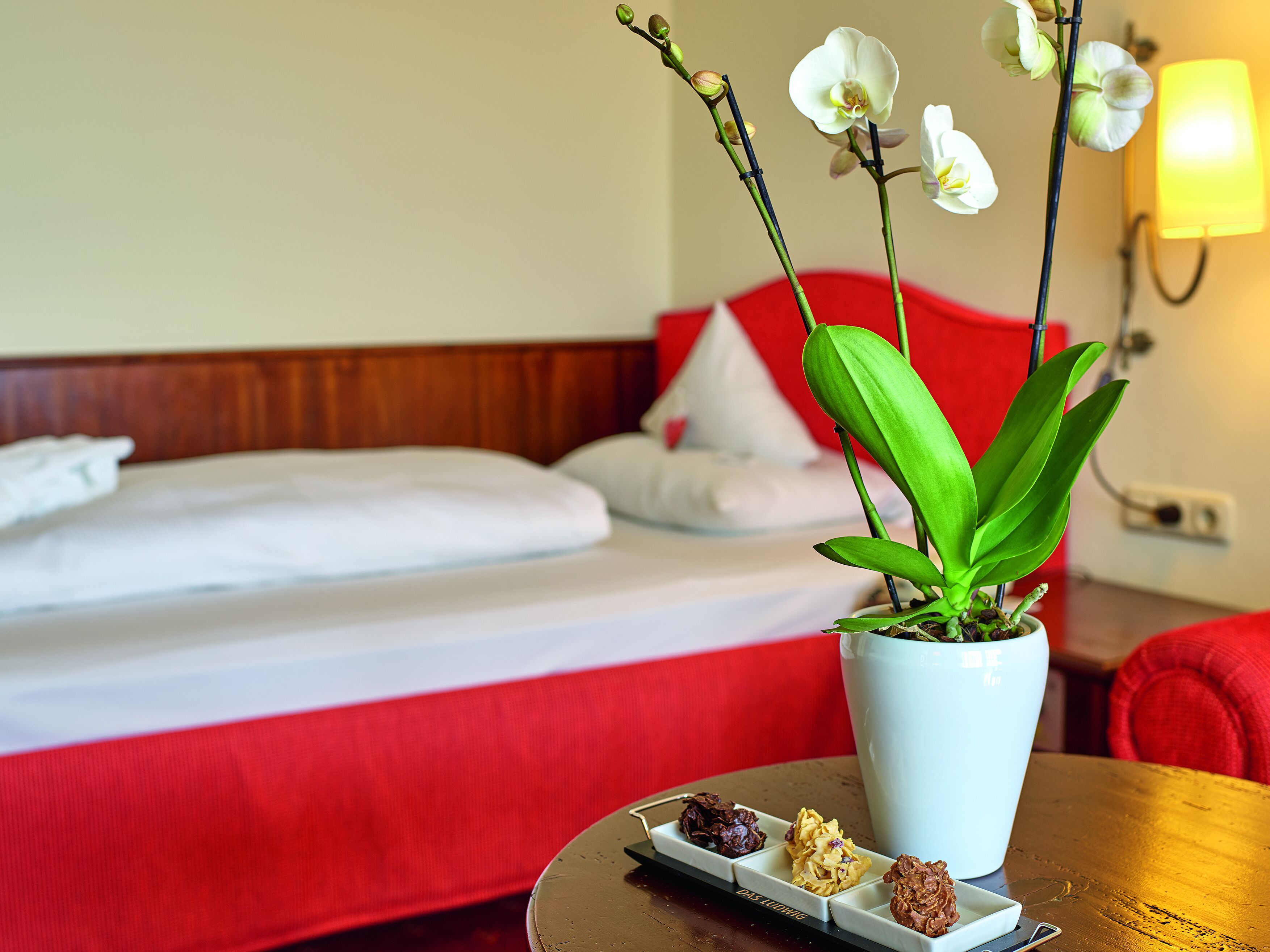 A hotel room with a bed, a white potted orchid, and a tray with assorted chocolates.