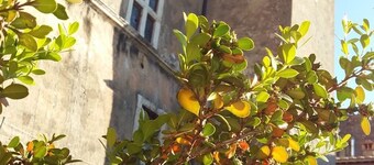 Antica Corte del Castello