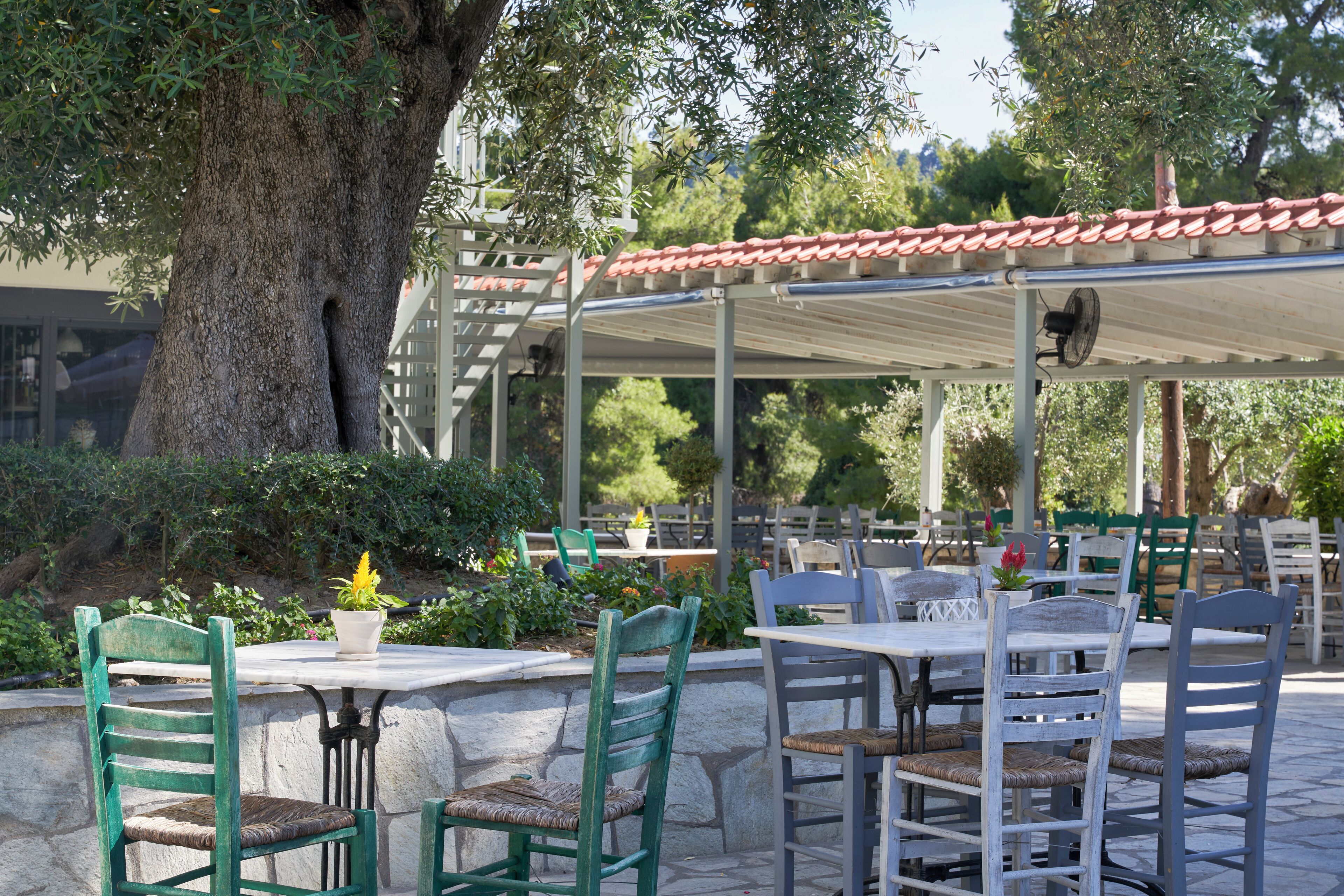 Un espacio al aire libre con mesas y sillas, una pérgola y un gran árbol que proporciona sombra.