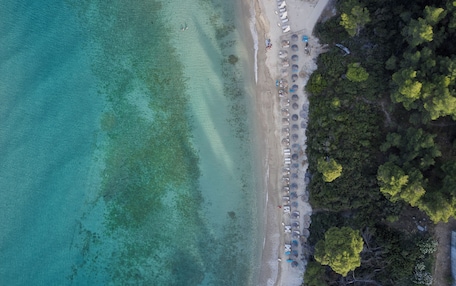 An aerial view of a beach with clear turquoise water, a sandy shore, and a row of umbrellas and lounge chairs.
