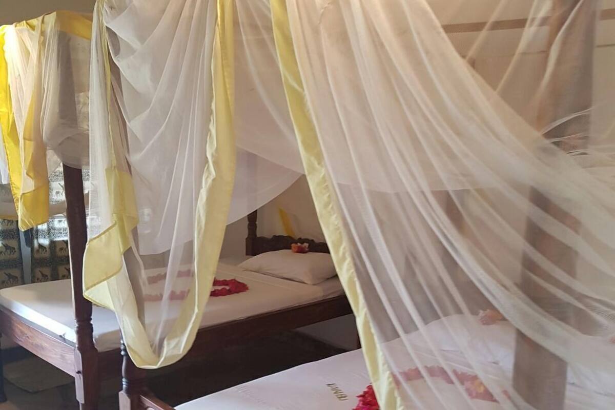 Une chambre avec deux lits en bois recouverts de rideaux légers.