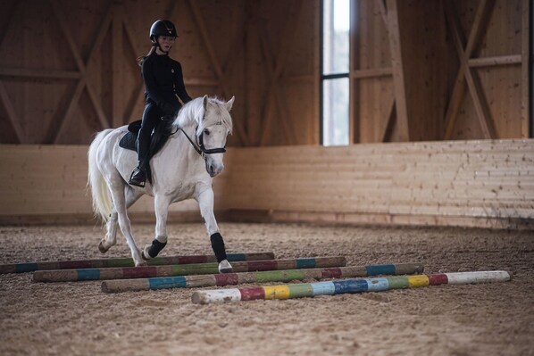 A horse and rider in an indoor arena with wooden walls and a sandy floor, performing an equestrian jump. - Hotel Lanerhof (San Lorenzo di Sebato)