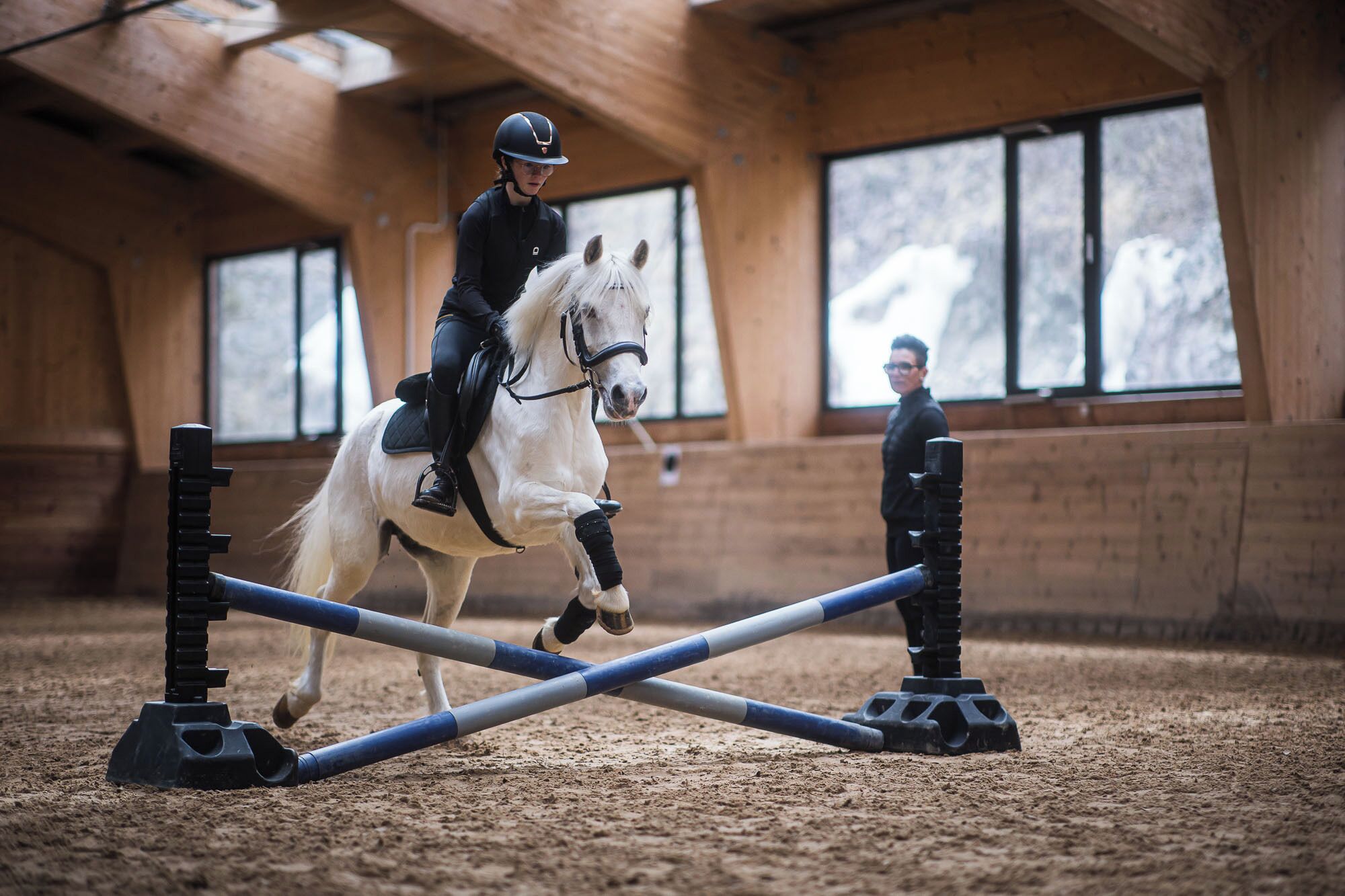 Un caballo saltando sobre un circuito de obstáculos en un espacio interior.