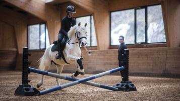 Un caballo saltando sobre un circuito de obstáculos en un espacio interior.
