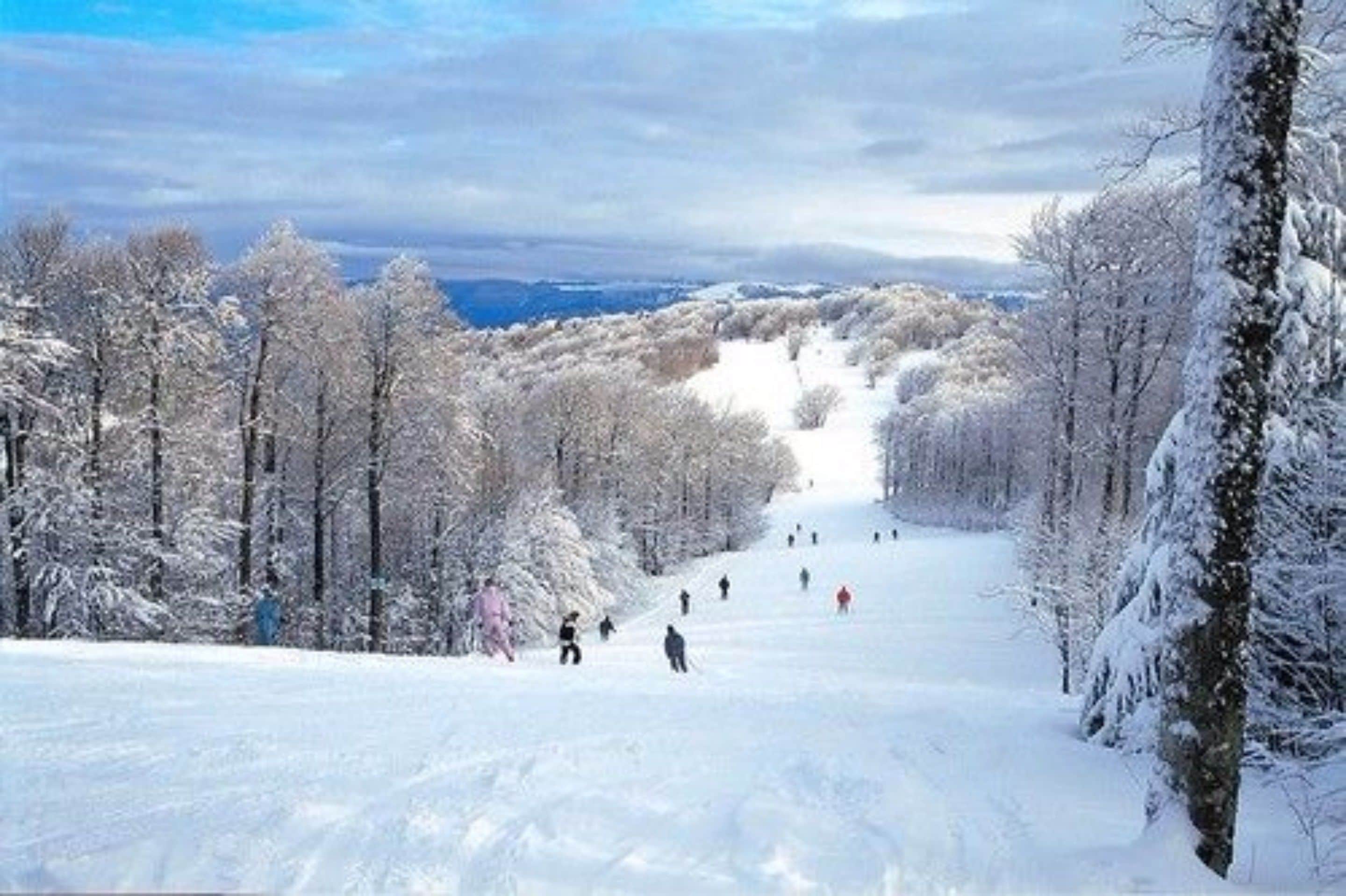 A snowy ski slope with skiers and a forested area.