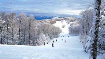A snowy ski slope with skiers and a forested area.