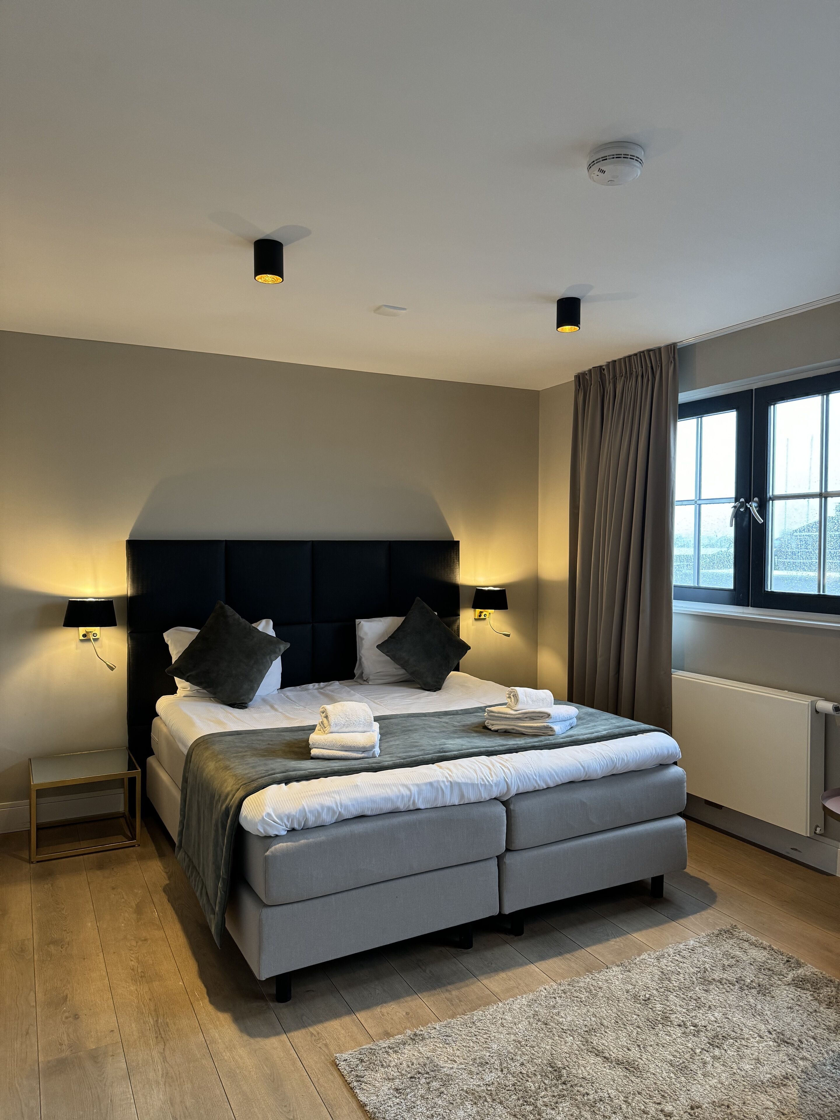 studio, 1 king bed with sofa bed, kitchenette, lake view | desk, soundproofing, iron/ironing board, free wifi