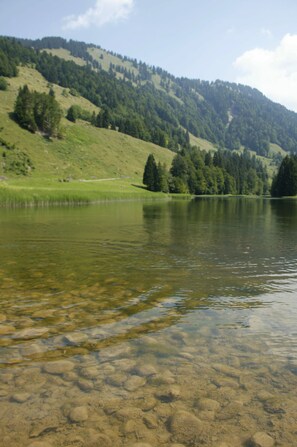 Hiking - Gasthof Ochsen (Hittisau)