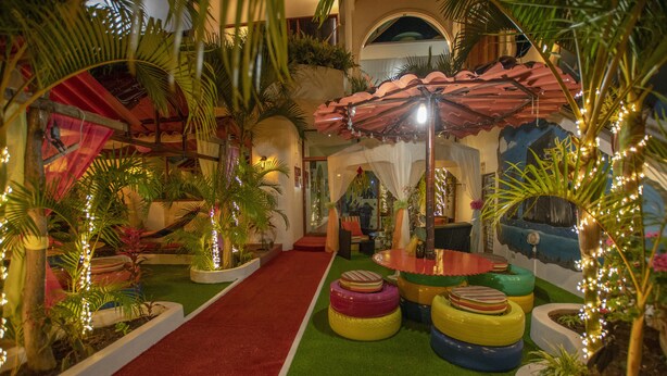 A colorful indoor space with artificial grass, a red carpet path, and various plants. - Hostal Gosén (Puerto Baquerizo Moreno)