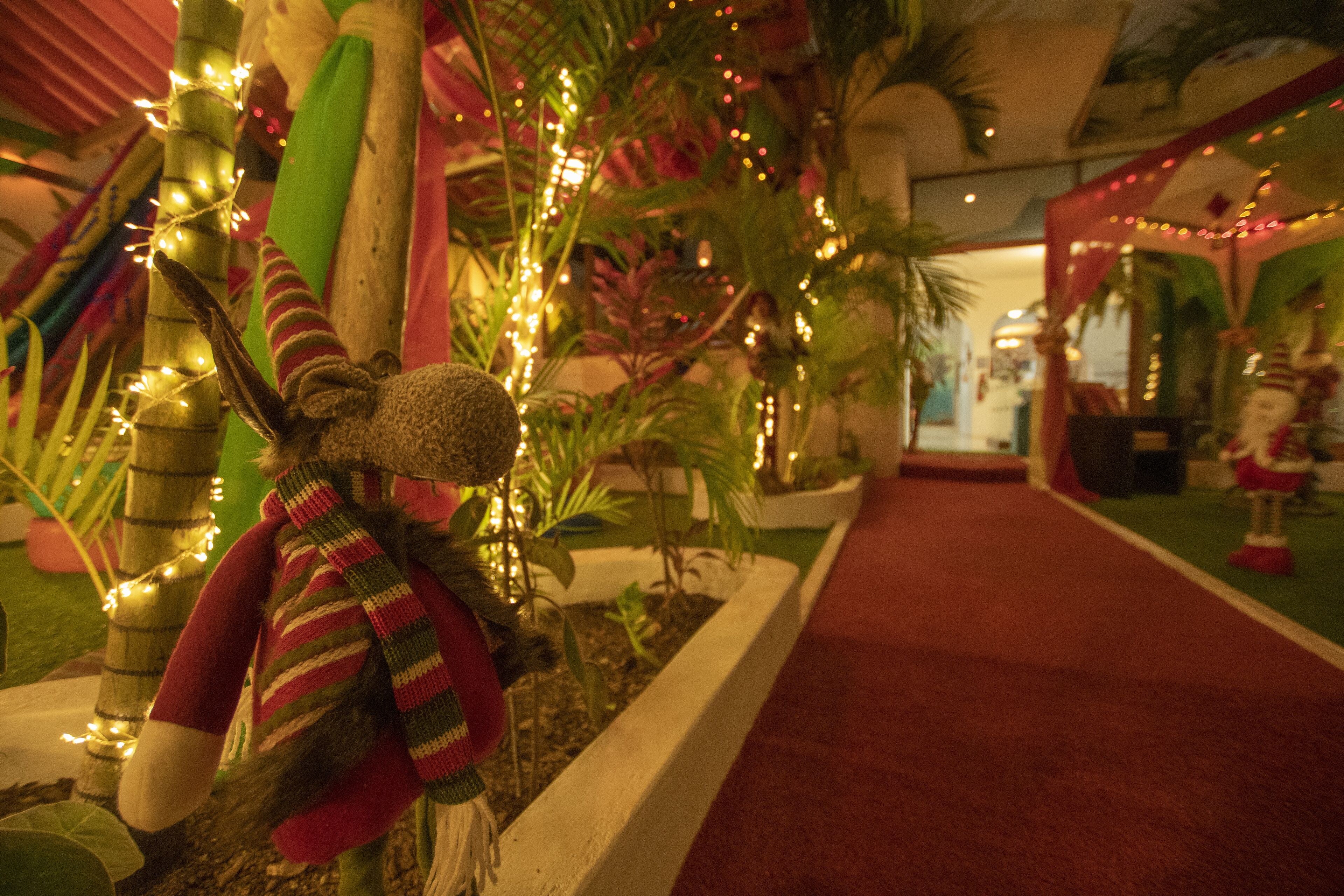 Un pasillo decorado con luces ornamentales, plantas y un peluche.