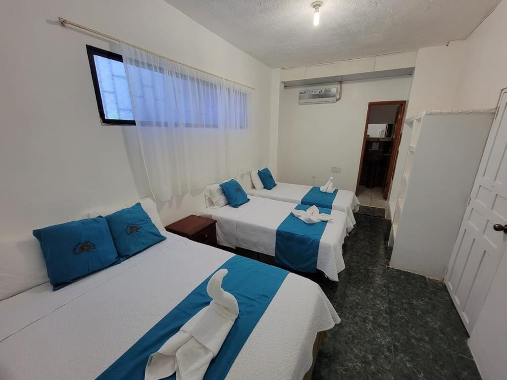 A hotel room with two beds, each with blue and white bedding, a small bedside table, and a window with sheer curtains.