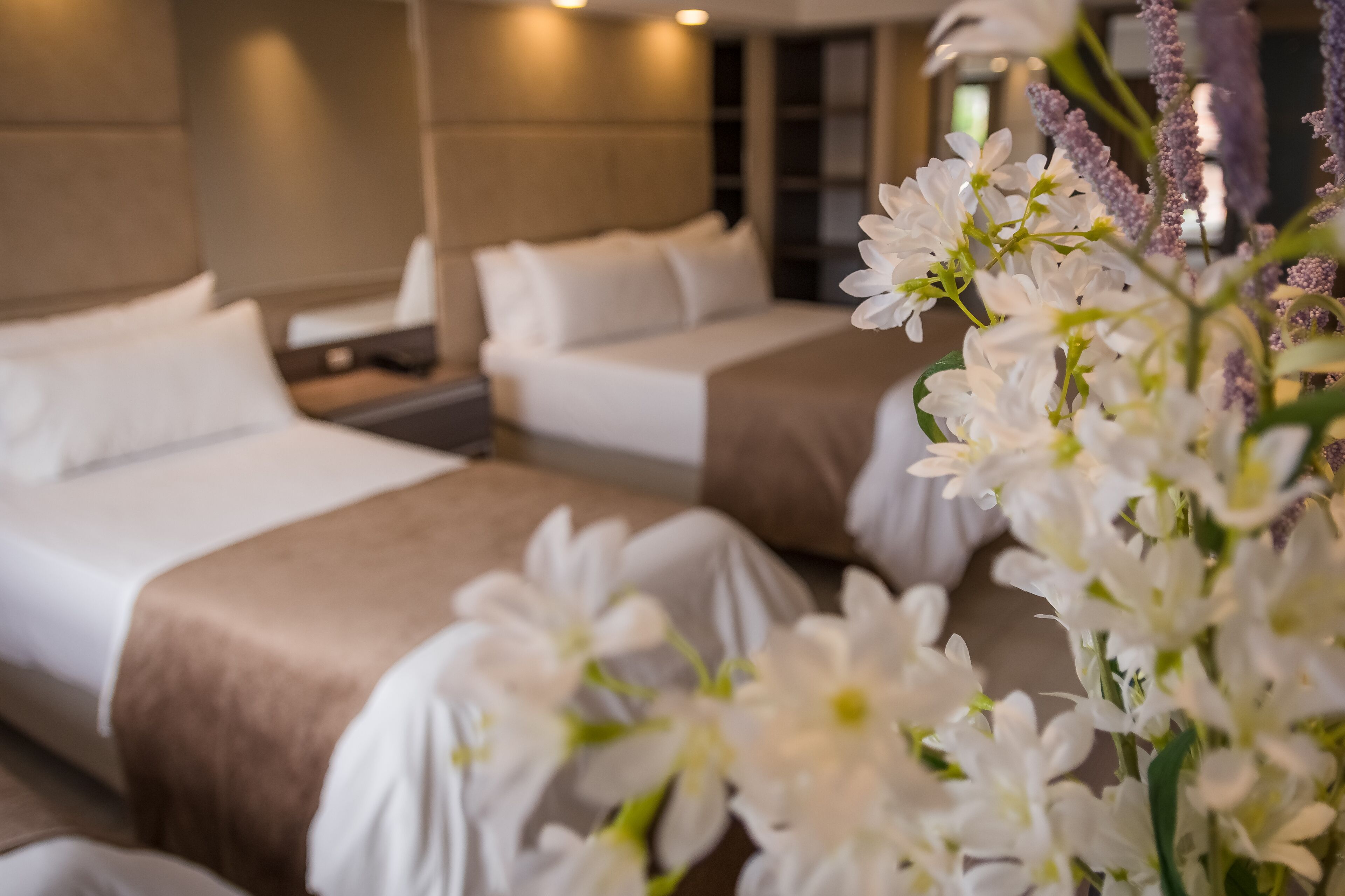 suite junior | premium bedding, down duvets, minibar, in-room safe